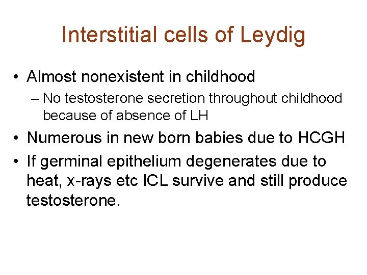 Interstitial cells of Leydig • Almost nonexistent in childhood – No testosterone secretion throughout