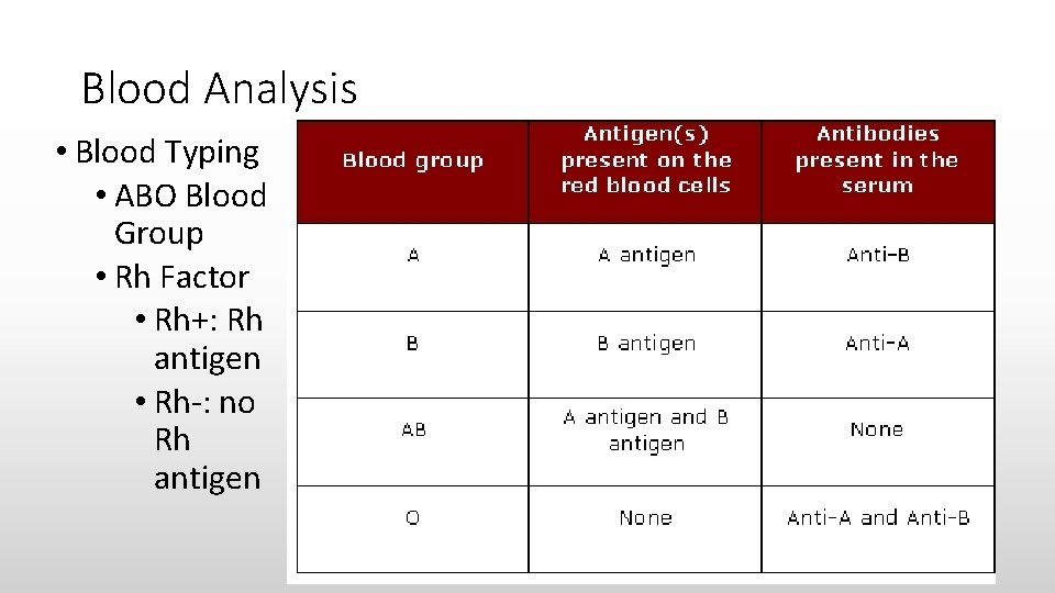 Blood Analysis • Blood Typing • ABO Blood Group • Rh Factor • Rh+: