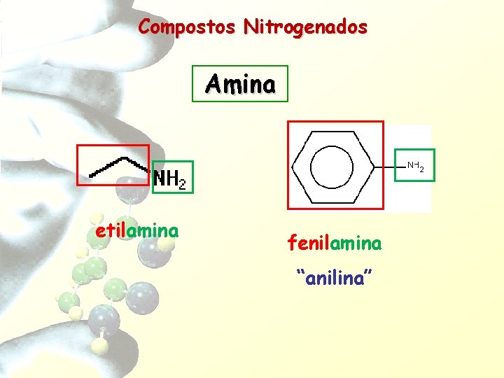 Compostos Nitrogenados Amina etilamina fenilamina “anilina” 