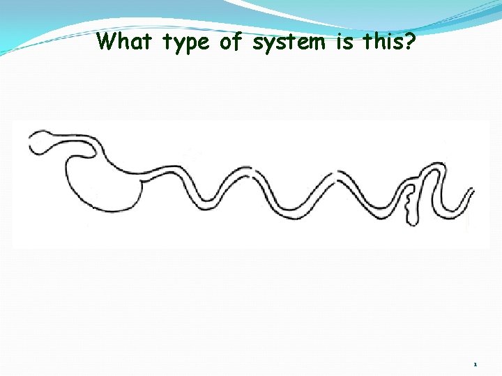 What type of system is this? 1 
