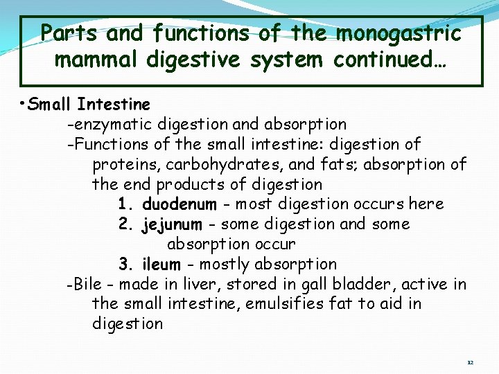 Parts and functions of the monogastric mammal digestive system continued… • Small Intestine -enzymatic