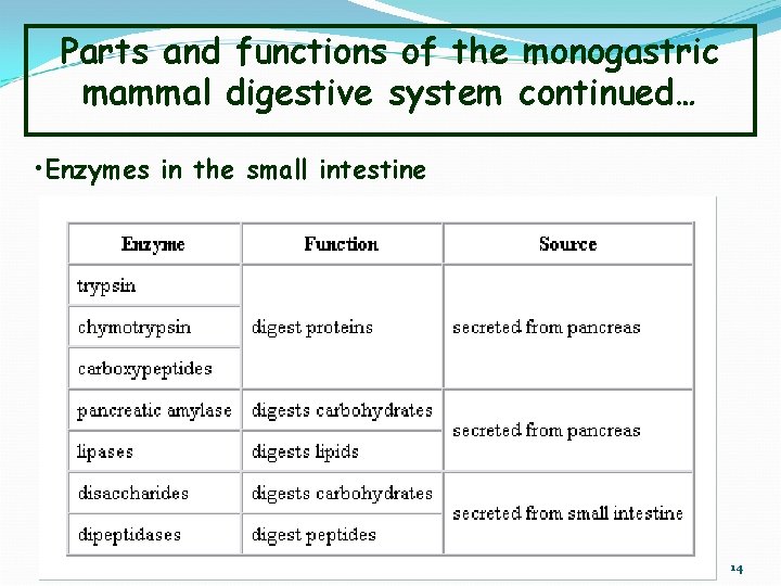 Parts and functions of the monogastric mammal digestive system continued… • Enzymes in the