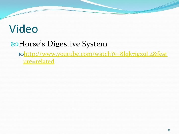 Video Horse’s Digestive System http: //www. youtube. com/watch? v=8 lqk 7 igz 9 L