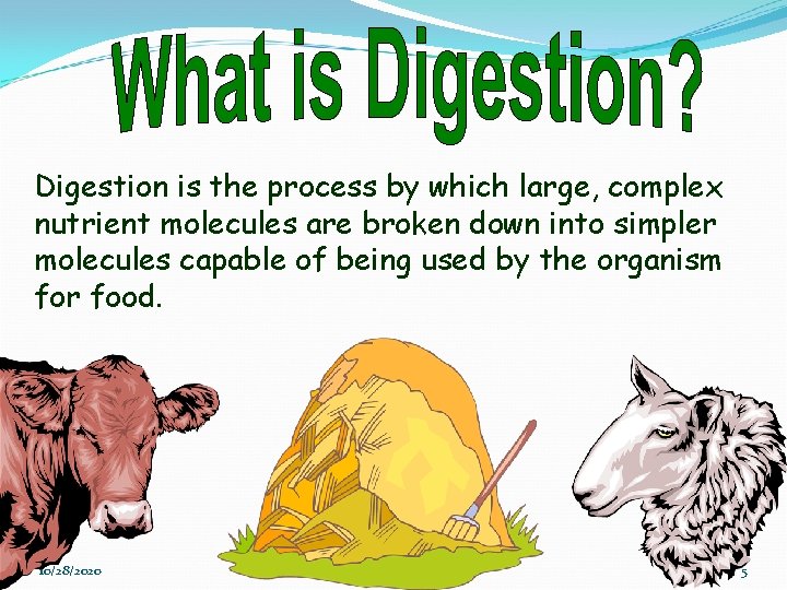 Digestion is the process by which large, complex nutrient molecules are broken down into