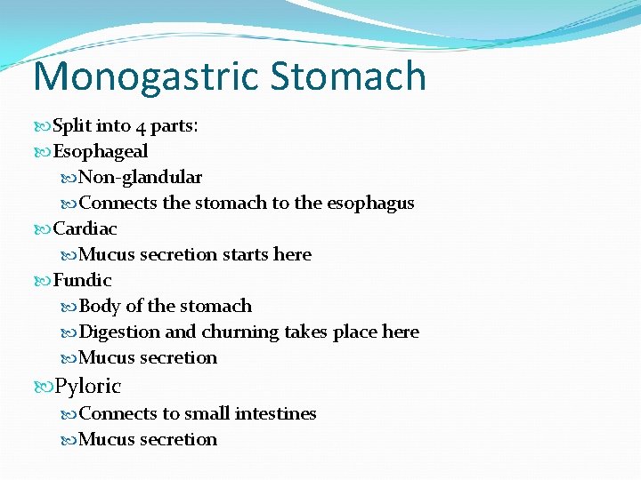 Monogastric Stomach Split into 4 parts: Esophageal Non-glandular Connects the stomach to the esophagus