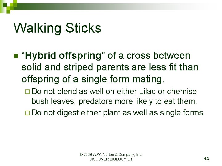 Walking Sticks n “Hybrid offspring” of a cross between solid and striped parents are