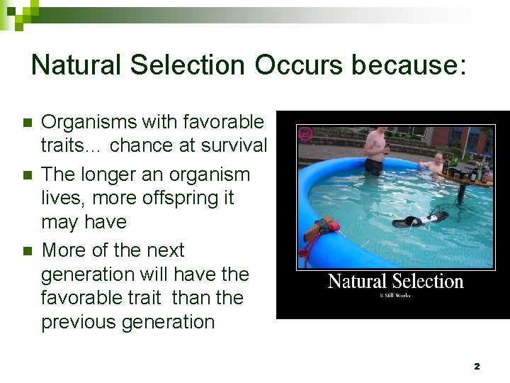 Natural Selection Occurs because: n n n Organisms with favorable traits… chance at survival