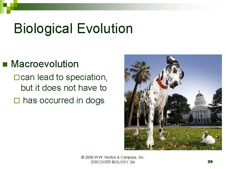 Biological Evolution n Macroevolution ¨ can lead to speciation, but it does not have