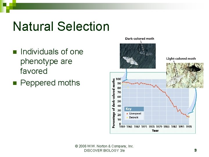 Natural Selection n n Individuals of one phenotype are favored Peppered moths © 2006