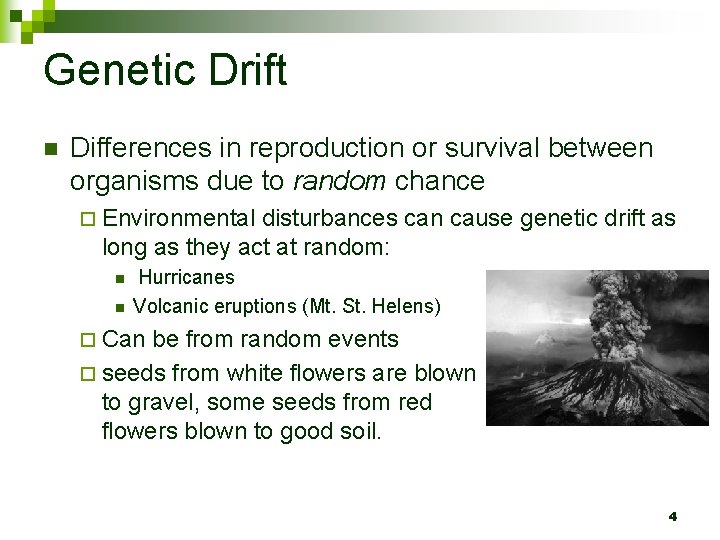 Genetic Drift n Differences in reproduction or survival between organisms due to random chance