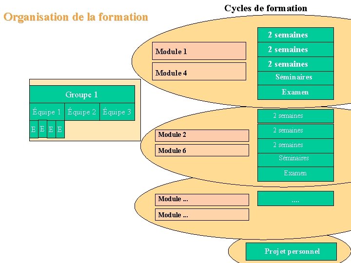 Cycles de formation Organisation de la formation 2 semaines Module 1 Module 4 2