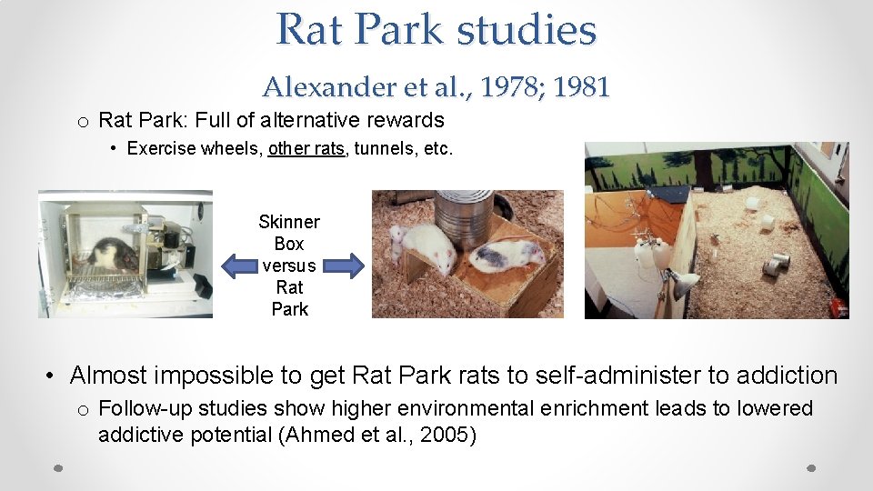 Rat Park studies Alexander et al. , 1978; 1981 o Rat Park: Full of