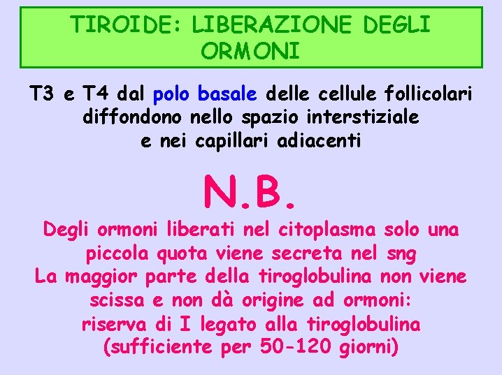 TIROIDE: LIBERAZIONE DEGLI ORMONI T 3 e T 4 dal polo basale delle cellule