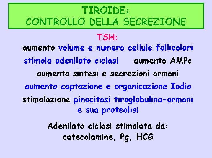 TIROIDE: CONTROLLO DELLA SECREZIONE TSH: aumento volume e numero cellule follicolari stimola adenilato ciclasi