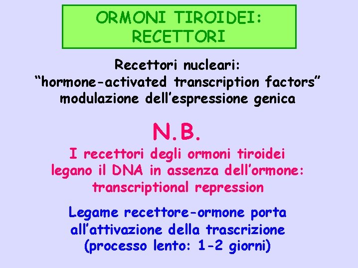 ORMONI TIROIDEI: RECETTORI Recettori nucleari: “hormone-activated transcription factors” modulazione dell’espressione genica N. B. I