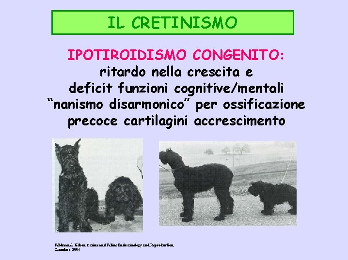 IL CRETINISMO IPOTIROIDISMO CONGENITO: ritardo nella crescita e deficit funzioni cognitive/mentali “nanismo disarmonico” per