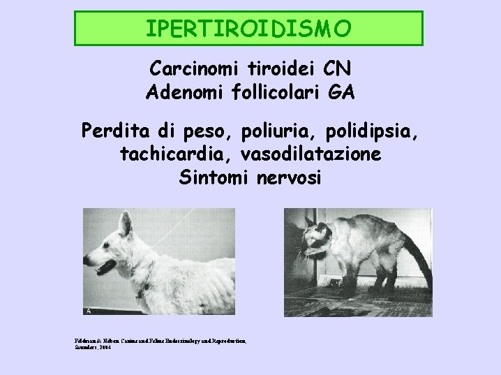 IPERTIROIDISMO Carcinomi tiroidei CN Adenomi follicolari GA Perdita di peso, poliuria, polidipsia, tachicardia, vasodilatazione