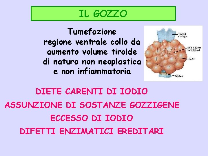 IL GOZZO Tumefazione regione ventrale collo da aumento volume tiroide di natura non neoplastica