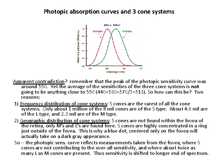 Photopic absorption curves and 3 cone systems Apparent contradiction? remember that the peak of