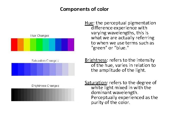 Components of color Hue: the perceptual pigmentation difference experience with varying wavelengths, this is