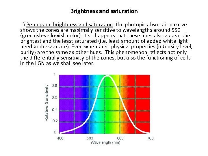 Brightness and saturation 1) Perceptual brightness and saturation: the photopic absorption curve shows the