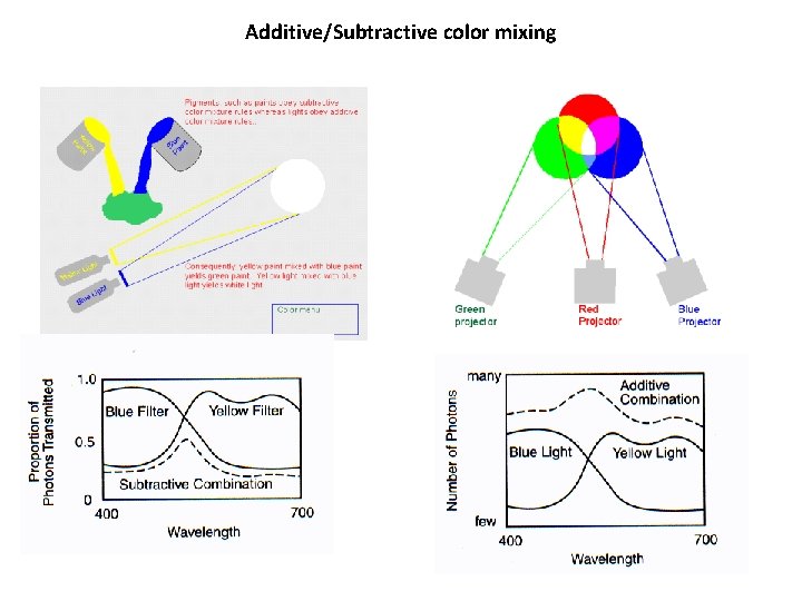 Additive/Subtractive color mixing 