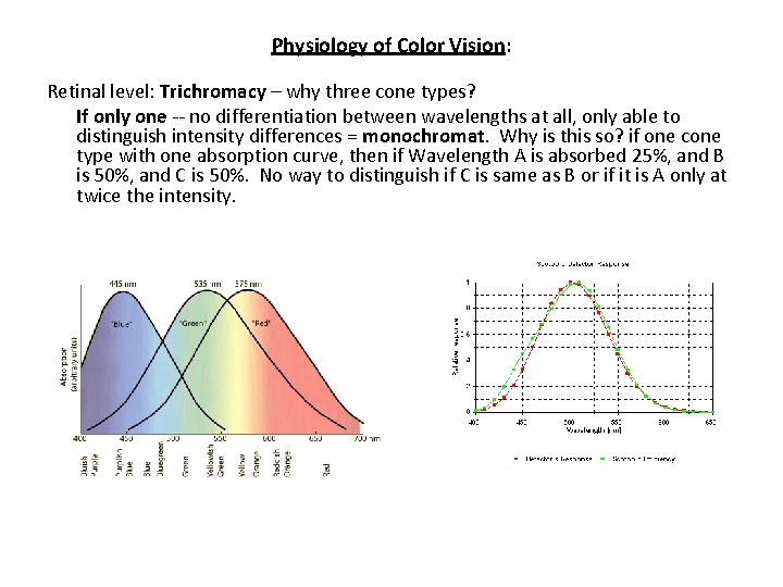 Physiology of Color Vision: Retinal level: Trichromacy – why three cone types? If only
