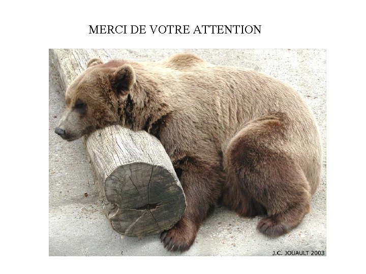 MERCI DE VOTRE ATTENTION 