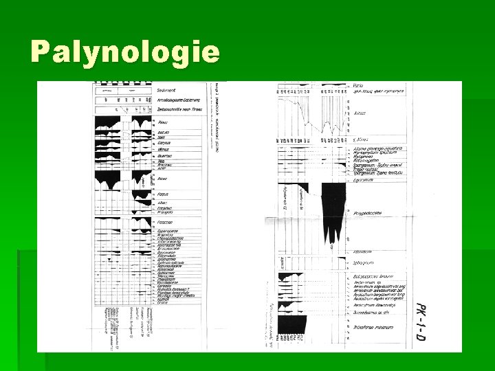 Palynologie 