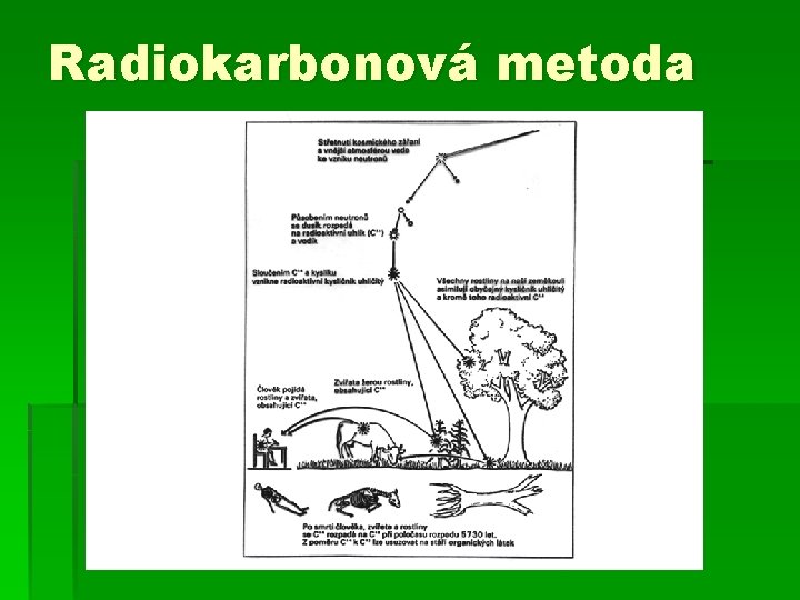Radiokarbonová metoda 