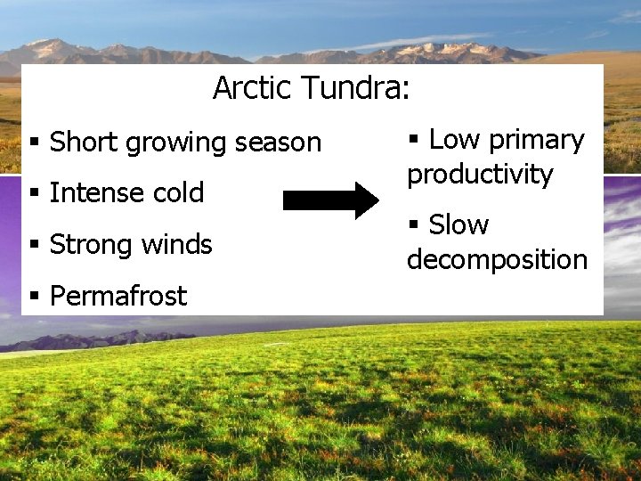 Arctic Tundra: § Short growing season § Intense cold § Strong winds § Permafrost