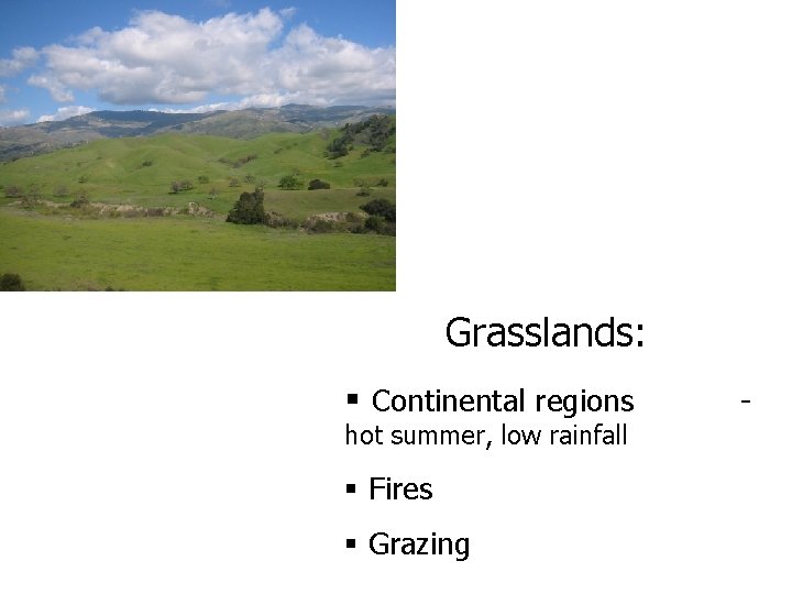 Grasslands: § Continental regions hot summer, low rainfall § Fires § Grazing - 