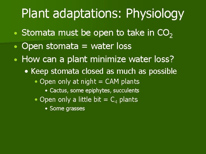 Plant adaptations: Physiology Stomata must be open to take in CO 2 • Open