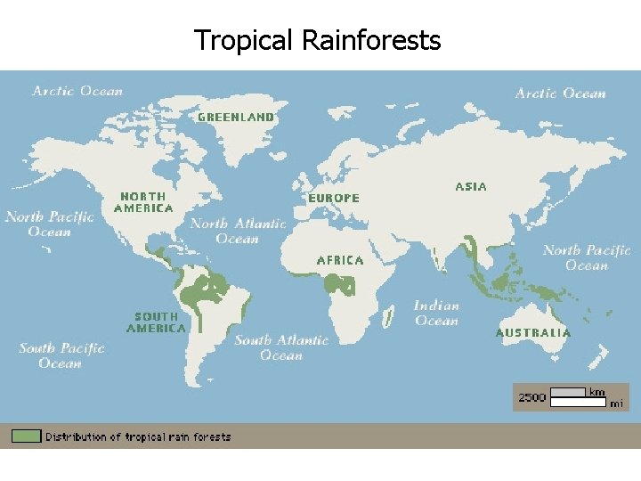 Tropical Rainforests 