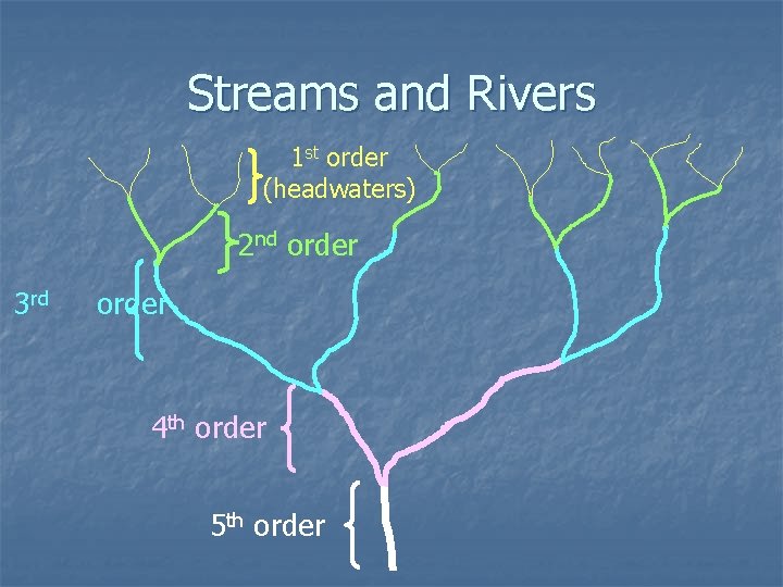 Streams and Rivers 1 st order (headwaters) 2 nd order 3 rd order 4