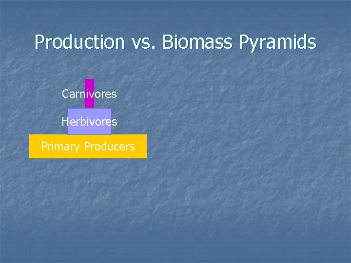 Production vs. Biomass Pyramids Carnivores Herbivores Primary Producers 