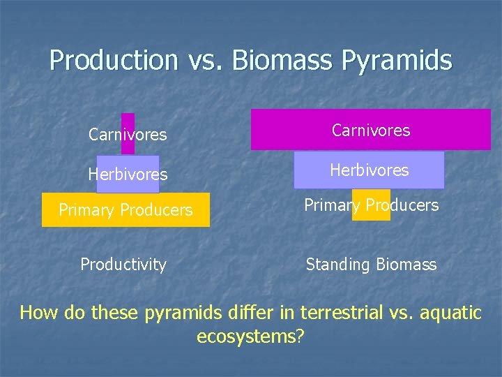 Production vs. Biomass Pyramids Carnivores Herbivores Primary Producers Productivity Standing Biomass How do these