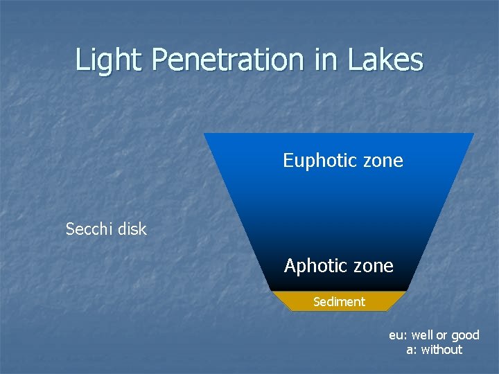 Light Penetration in Lakes Euphotic zone Secchi disk Aphotic zone Sediment eu: well or