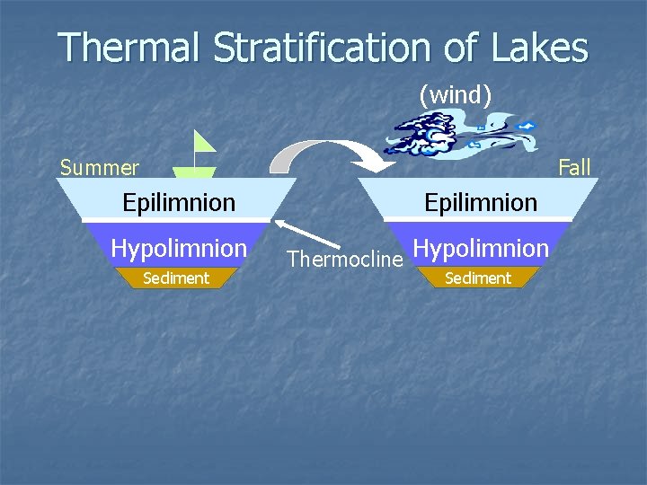 Thermal Stratification of Lakes (wind) Summer Fall Epilimnion Hypolimnion Sediment Epilimnion Thermocline Hypolimnion Sediment