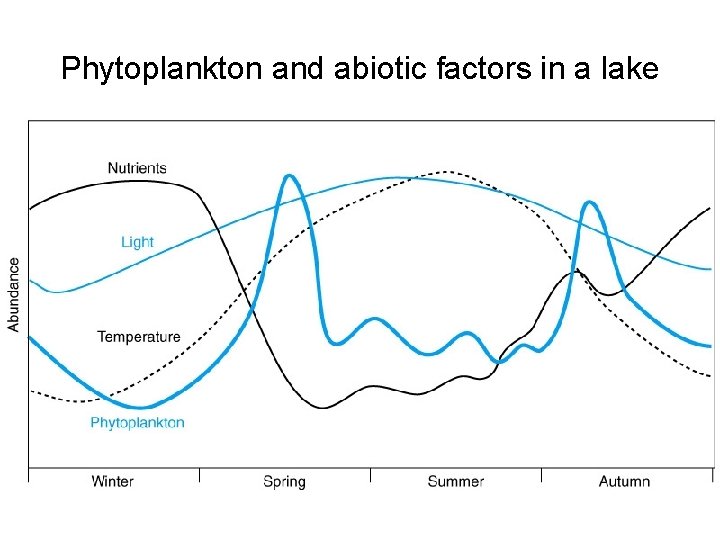 Phytoplankton and abiotic factors in a lake 