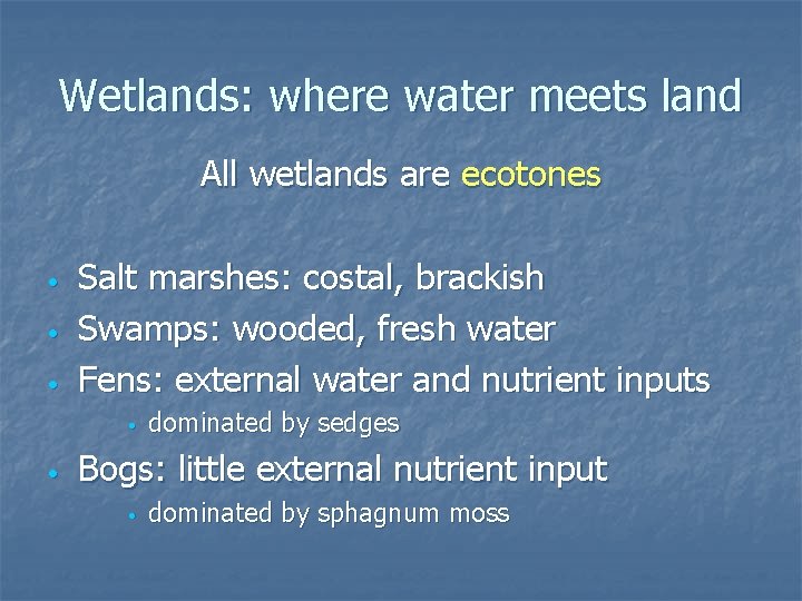 Wetlands: where water meets land All wetlands are ecotones • • • Salt marshes: