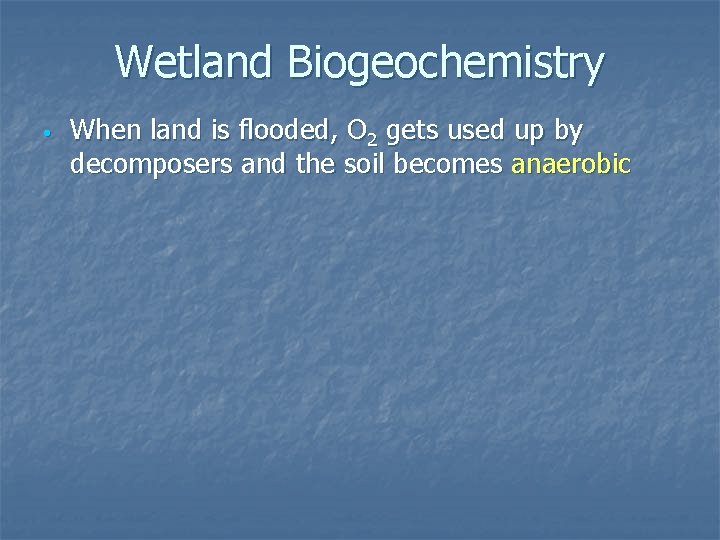 Wetland Biogeochemistry • When land is flooded, O 2 gets used up by decomposers