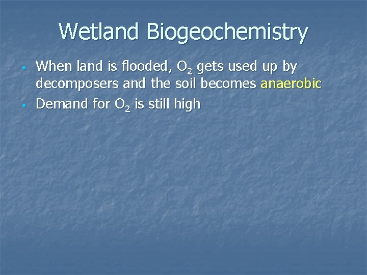 Wetland Biogeochemistry • • When land is flooded, O 2 gets used up by