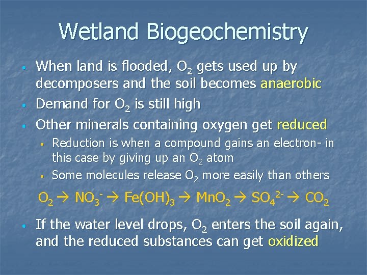 Wetland Biogeochemistry • • • When land is flooded, O 2 gets used up