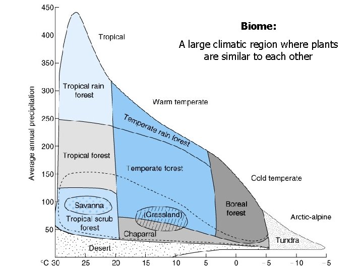 Biome: A large climatic region where plants are similar to each other 
