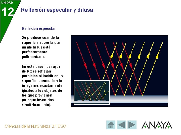 UNIDAD 12 Reflexión especular y difusa Reflexión especular Se produce cuando la superficie sobre