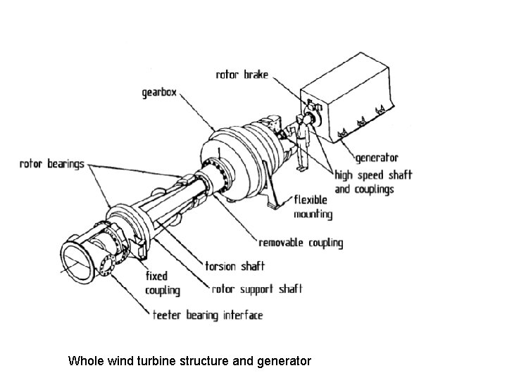 Whole wind turbine structure and generator 