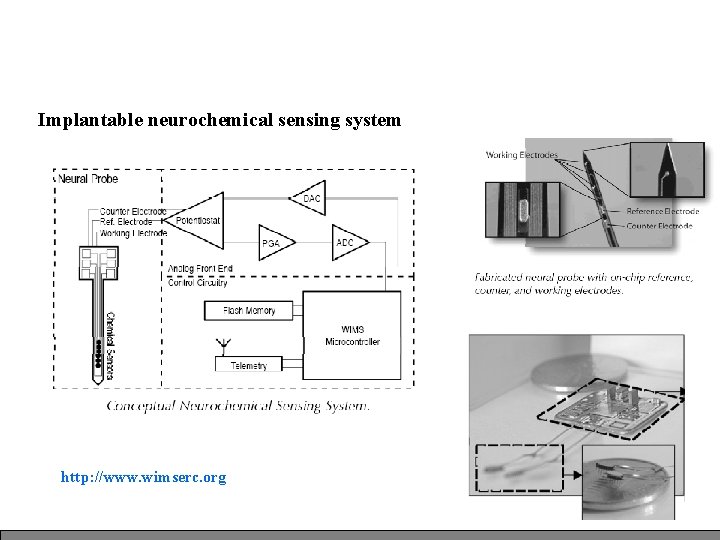 Implantable neurochemical sensing system http: //www. wimserc. org Implantable neurochemical sensing system http: //www. wimserc. org
