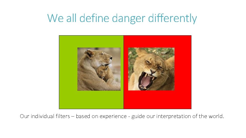 We all define danger differently Our individual filters – based on experience - guide