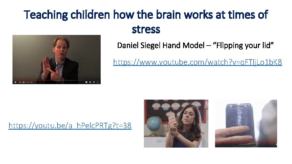 Teaching children how the brain works at times of stress Daniel Siegel Hand Model